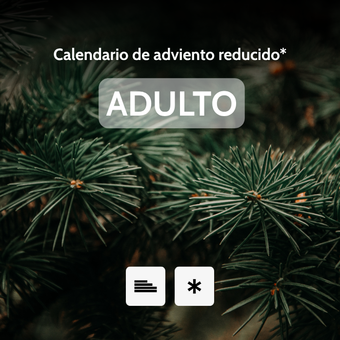 Calendario de Adviento de Libros Versión Adulto Opción Reducido