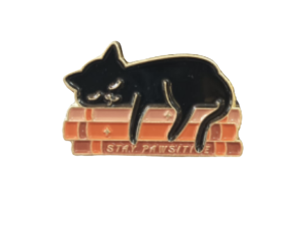 Pin «Gato Stay Pawsitive»